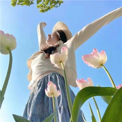 外星人电视第一季